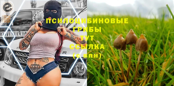 твердый Балабаново